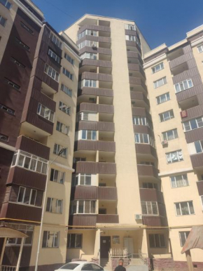 Квартира возле Алматы Арена